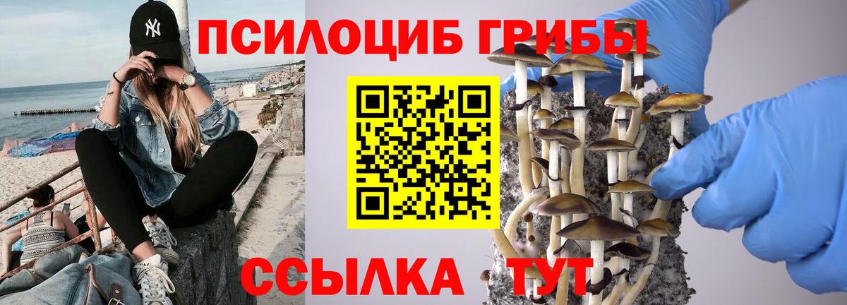 Курганинск  Псилоцибиновые грибы MAGIC MUSHROOMS  наркошоп  Вход с VPN 